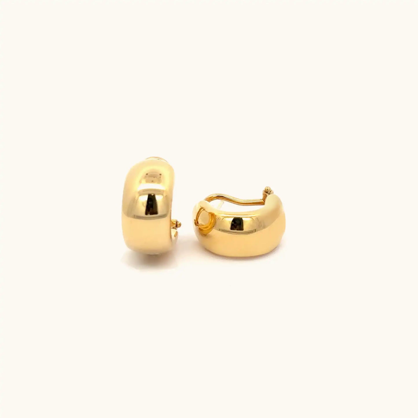 Gold Hoop Earrings