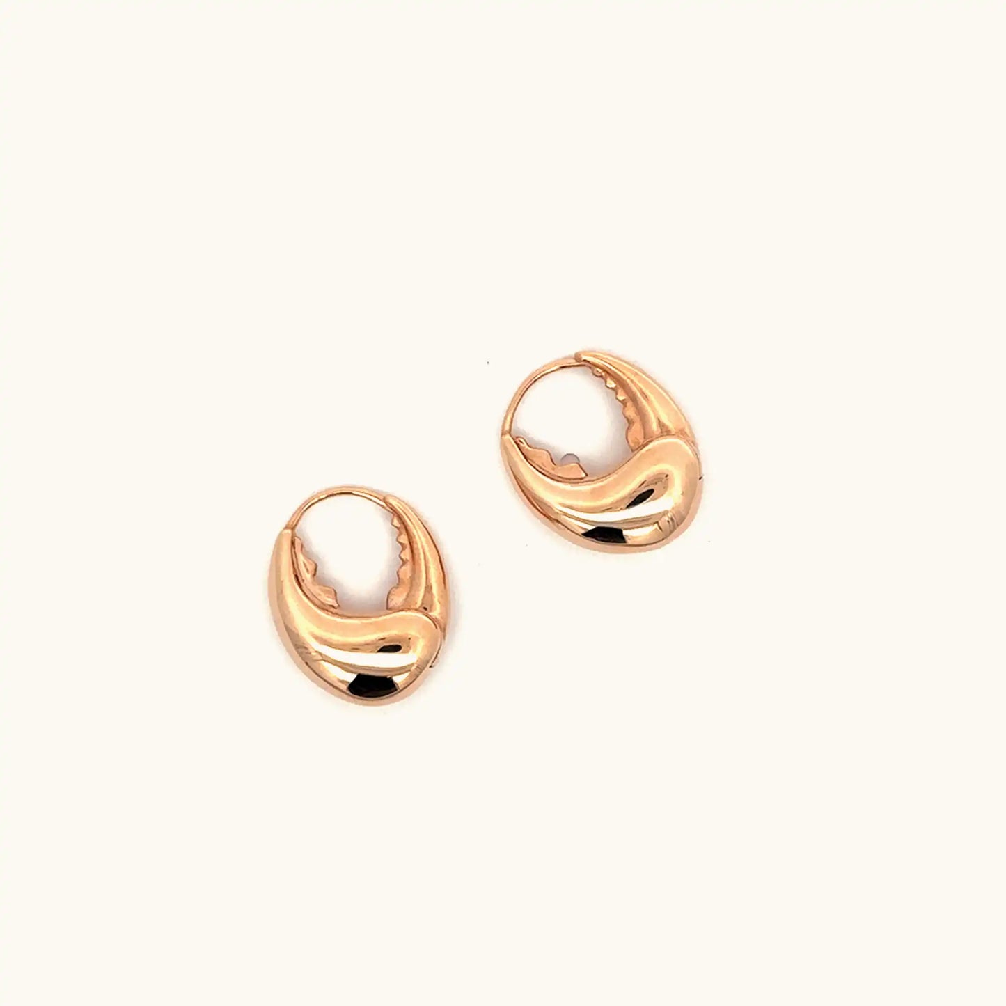 Elegant Gold Earrings
