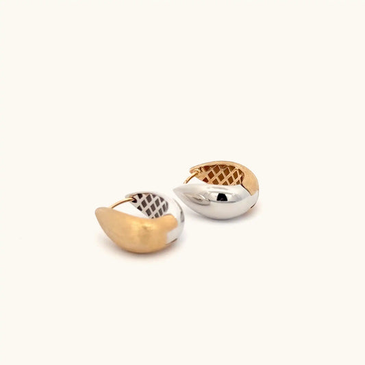 Elegant Two-Tone Earrings