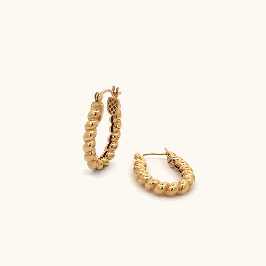 Twisted Hoop Earrings