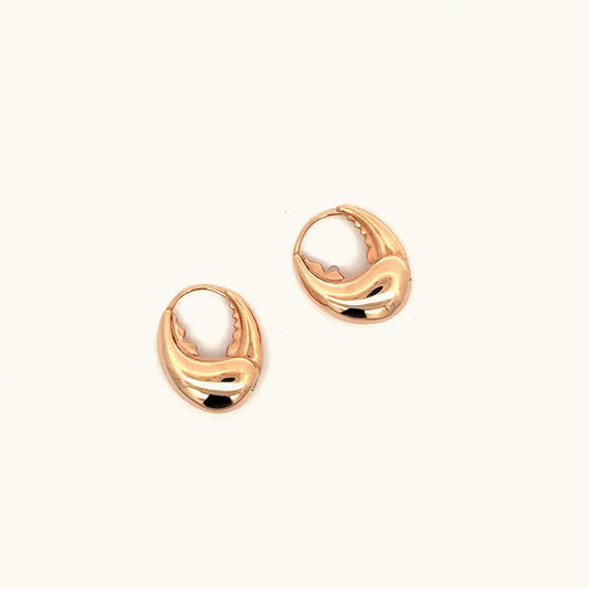 Elegant Gold Earrings